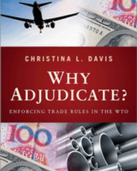 davis.whyadjudicate.gif
