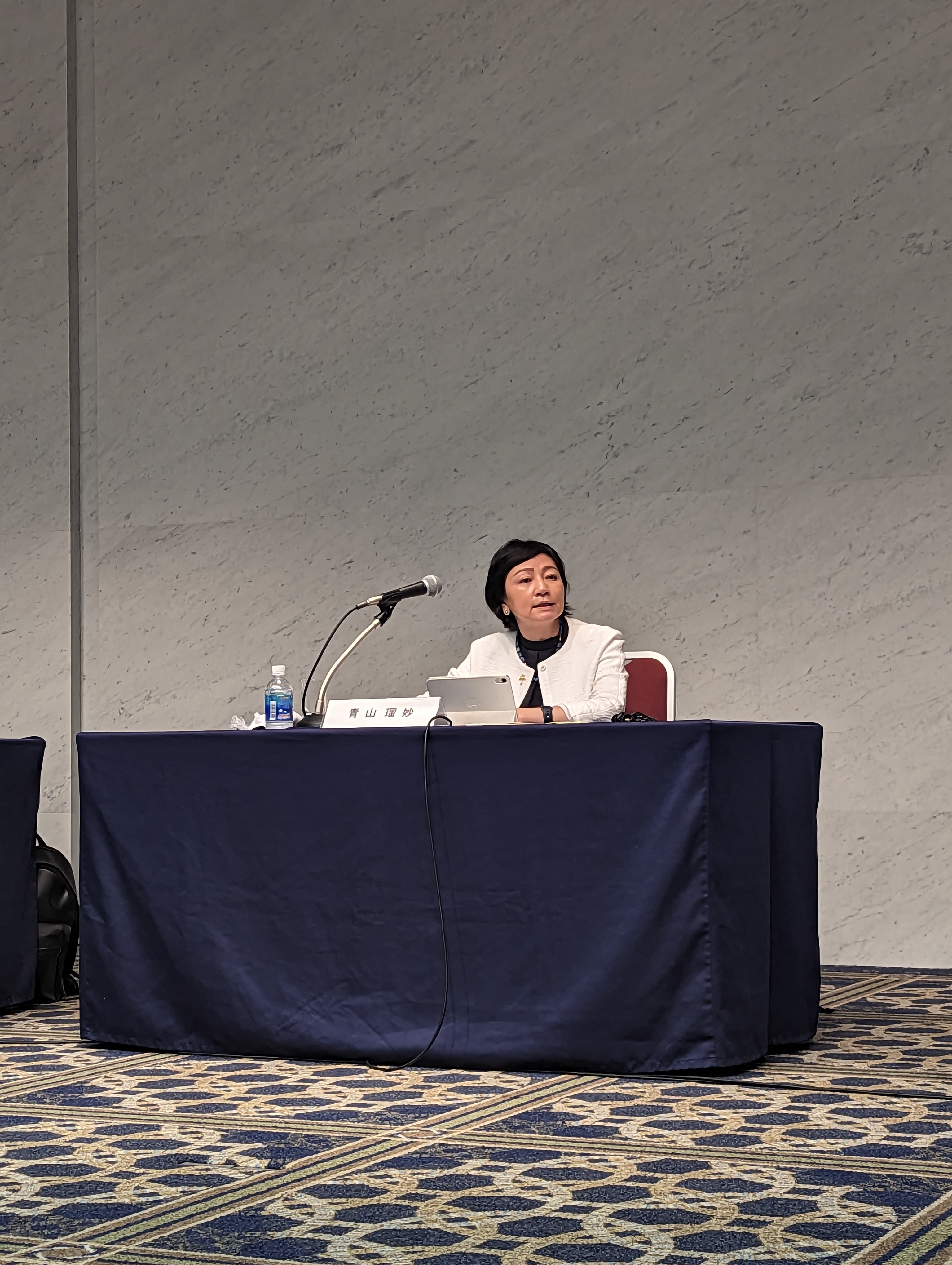 Panelist Rumi Aoyama
